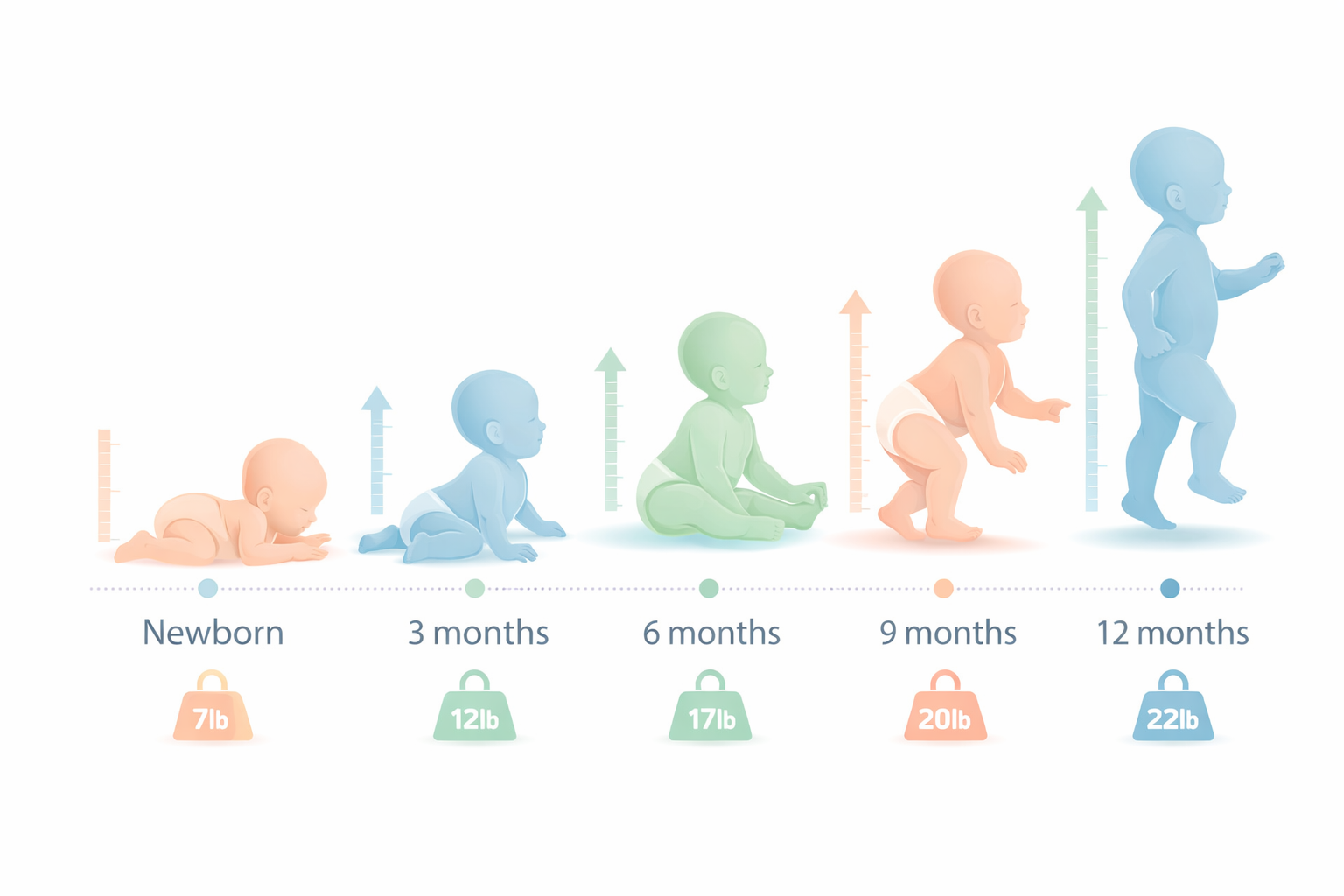What Are Normal Weight and Height Milestones for Babies?