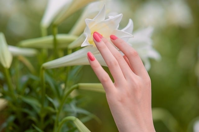 loceryl nail lacquer usa